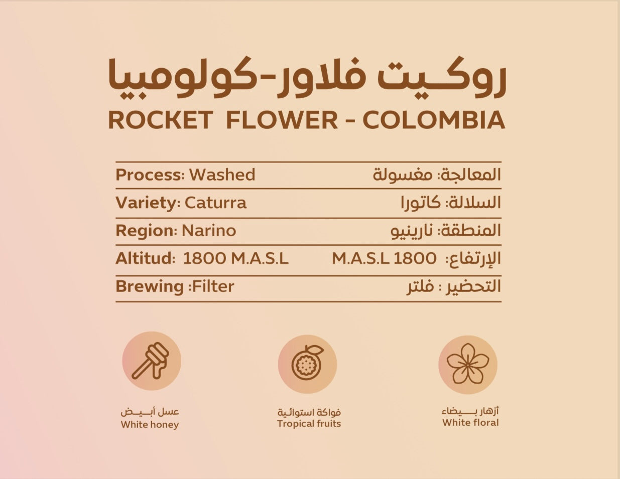South Coffee Rocket Flower – Colombia Filter Coffee