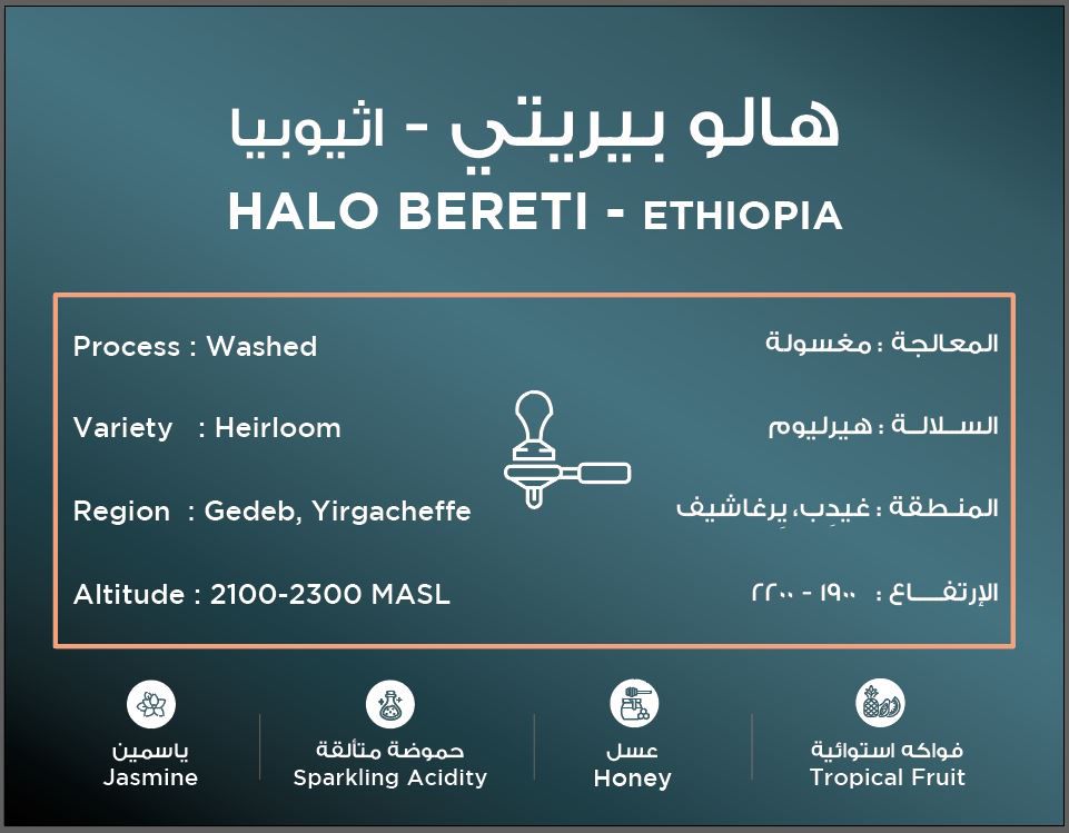 South Coffee Halo Bereti Ethiopia – Washed Specialty Coffee