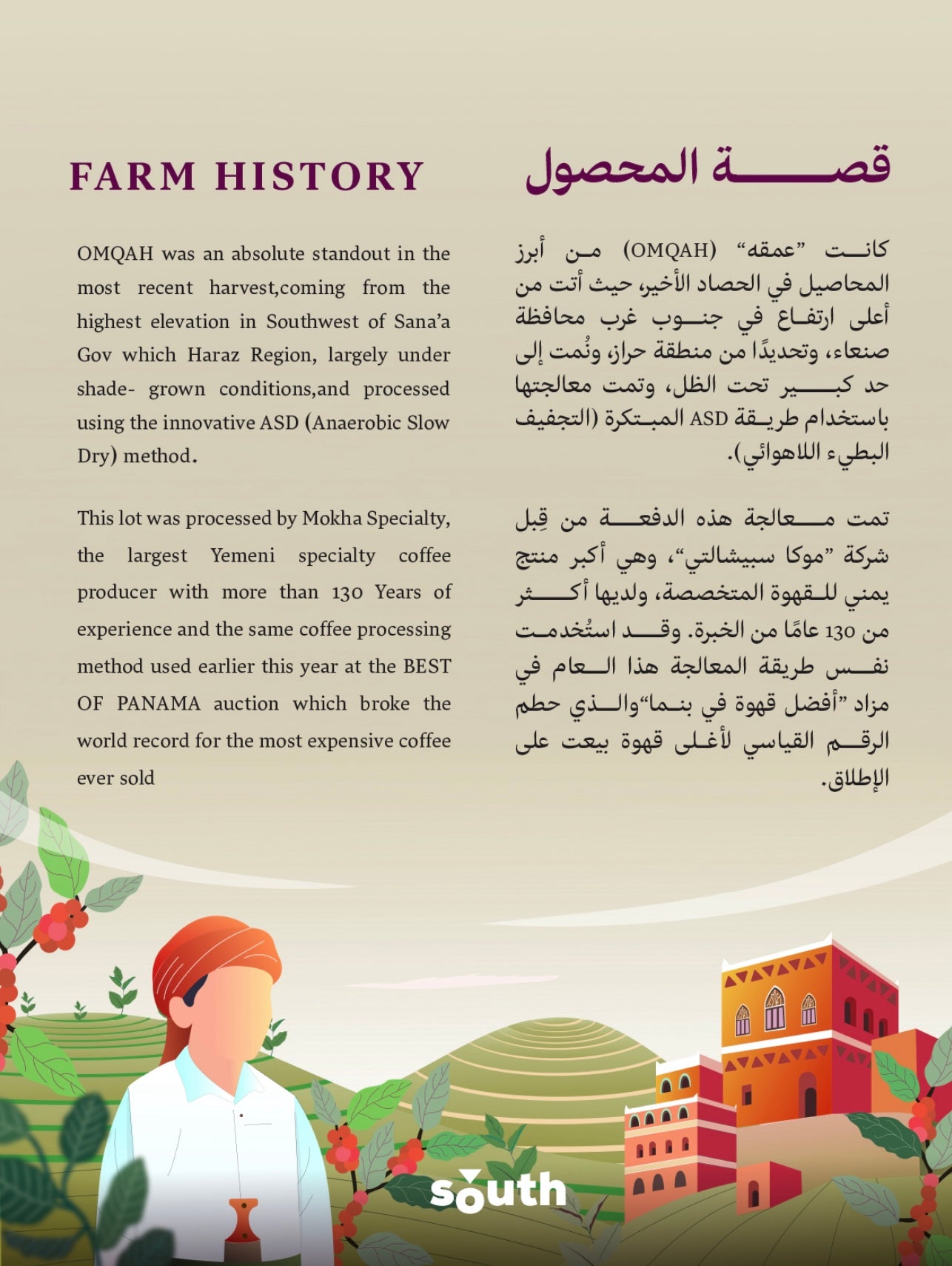 South Coffee Omqah Yemen – Slow Anaerobic Specialty Coffee