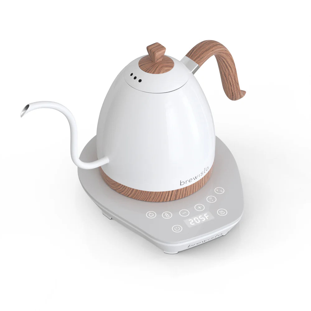 Brewista Artisan Electric Gooseneck Kettle 0.6L