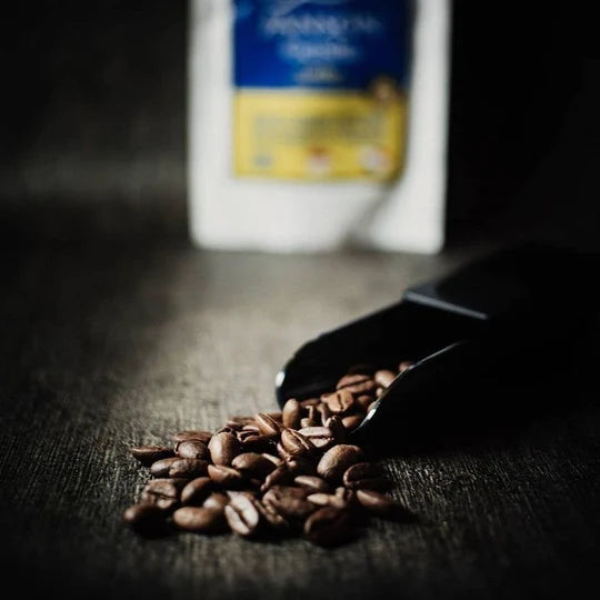 ANKOMN Coffee Scoop – 10g Precision Dosing