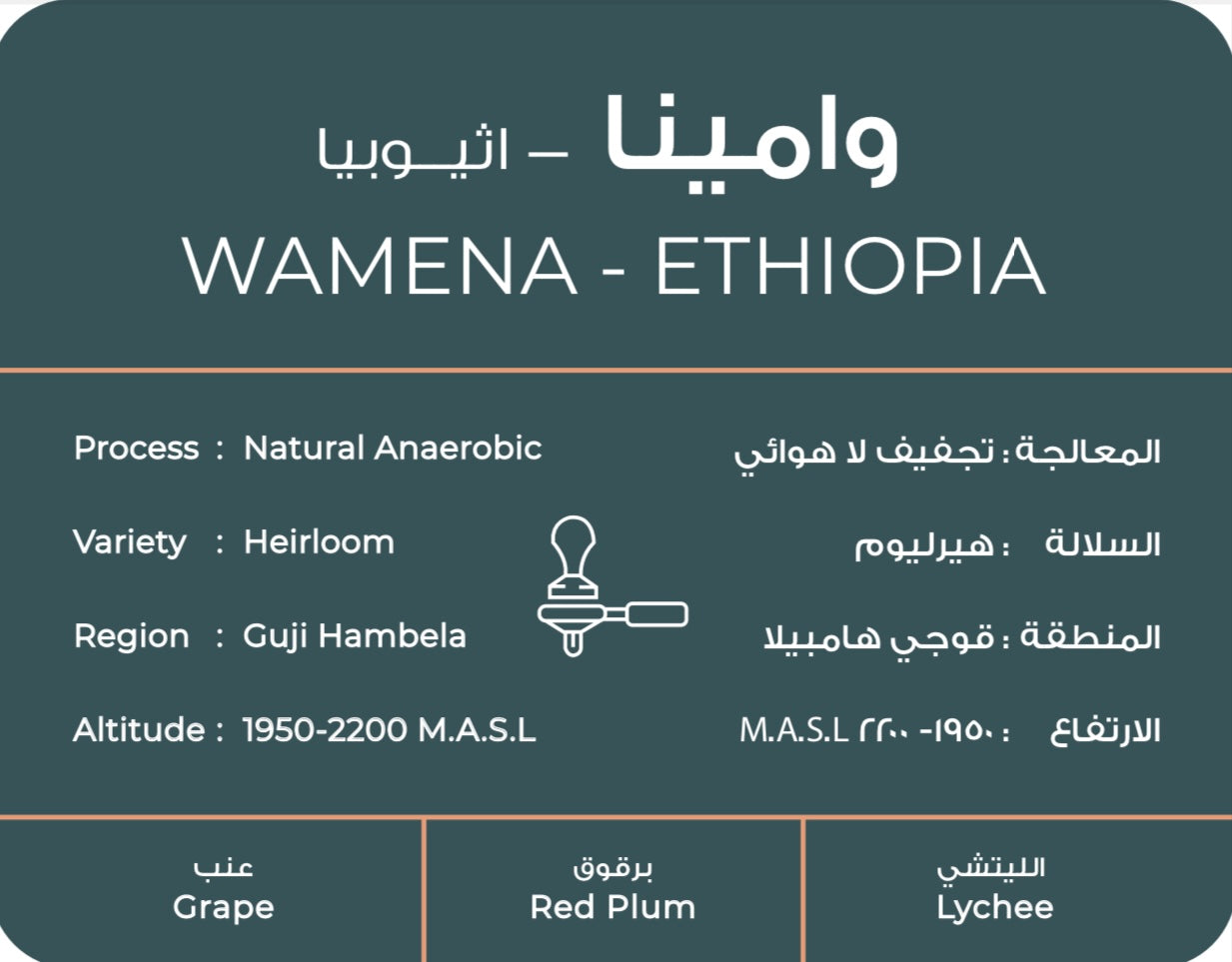 South Coffee Wamena Espresso – Ethiopia