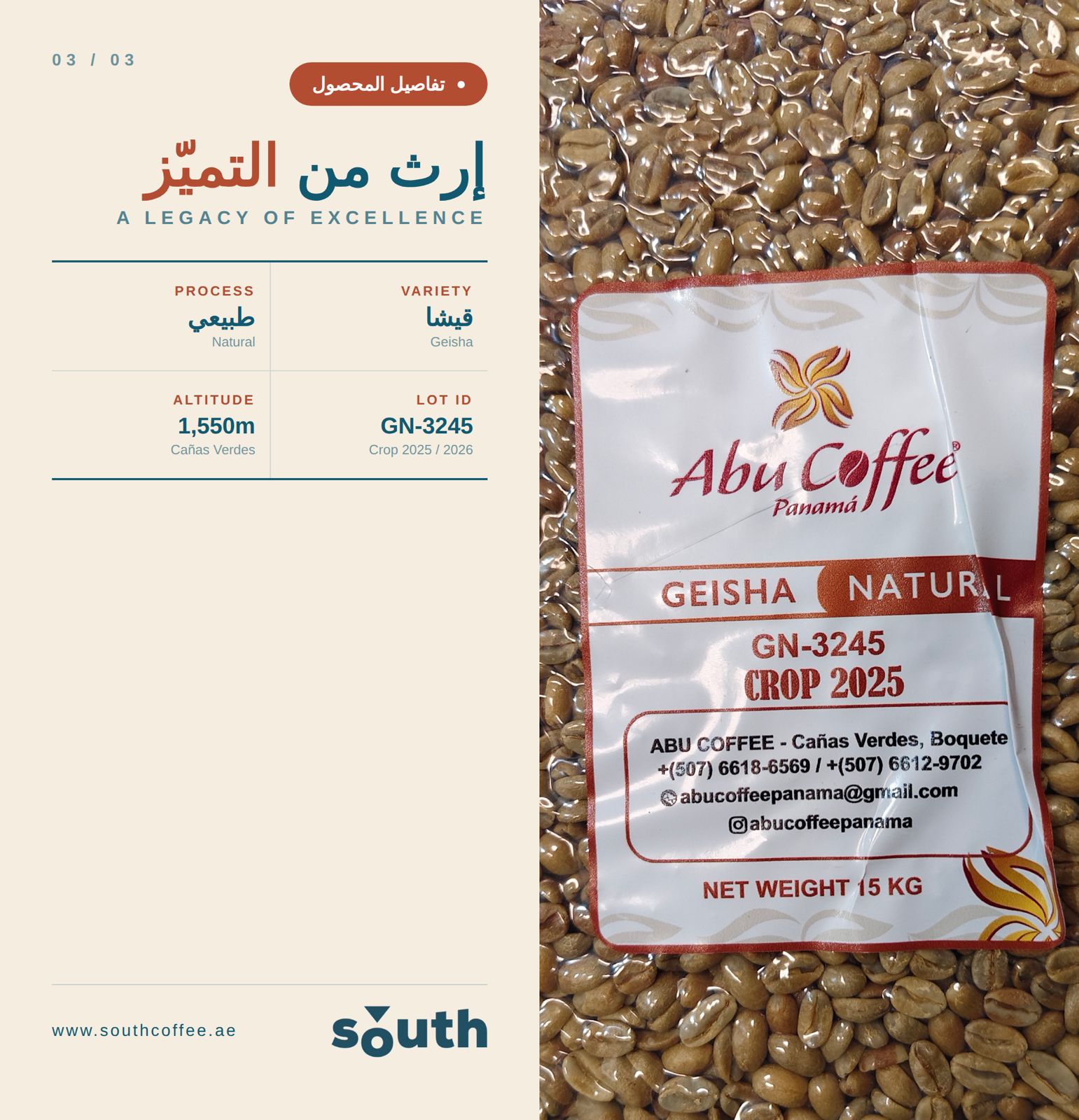 South Coffee Panama – Geisha